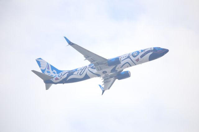 Boeing 737-800 (N559AS)