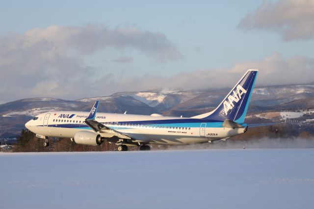 Boeing 737-800 (JA90AN) - December 29th 2018:HKD-HND.