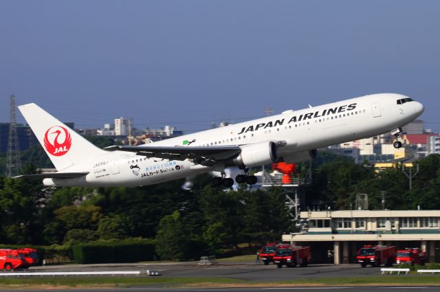 BOEING 767-300 (JA659J)