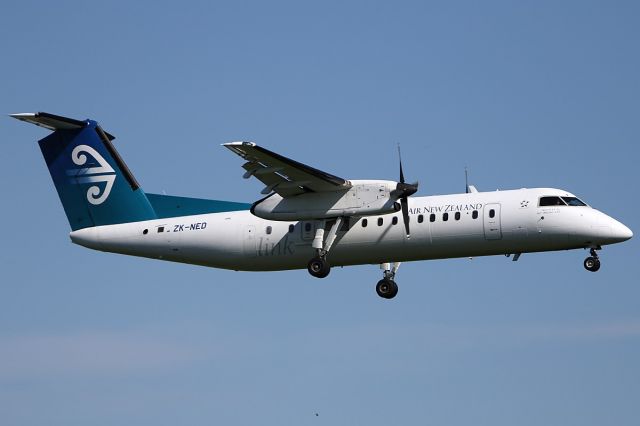 de Havilland Dash 8-300 (ZK-NED) - on 16 September 2018