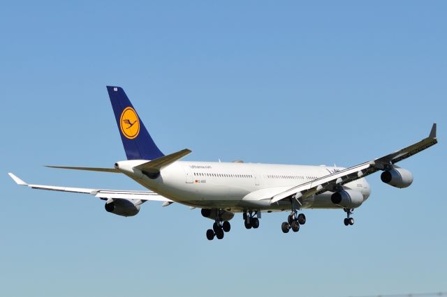 Airbus A340-300 (D-AIGS)