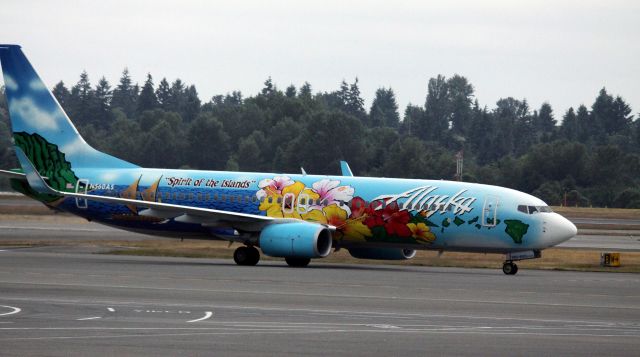 Boeing 737-700 (N560AS) - Spirit of The Islands, Taxiing to gate, 06-17-2014