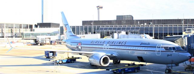 Boeing 737-800 (N569AS) - Alaska retrojet operating ord-anc on this day 6-26-17
