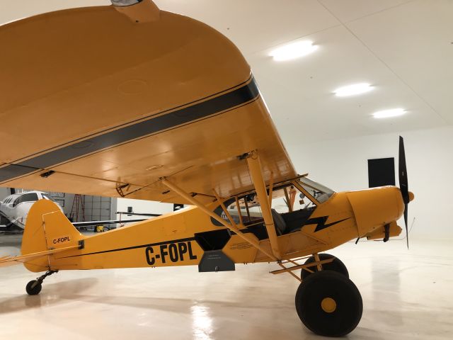 Piper L-21 Super Cub (C-FOPL)