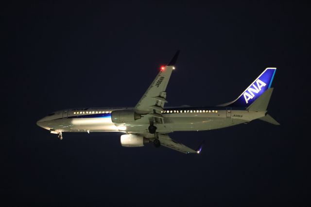 Boeing 737-800 (JA66AN) - March 27th 2020:HND-HKD.