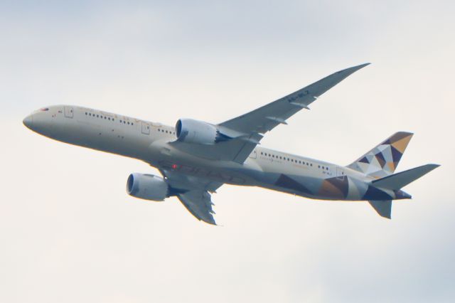 Boeing 787-9 Dreamliner (A6-BLZ)