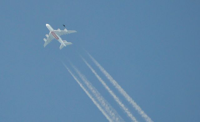 Airbus A380-800 (A6-EDB)