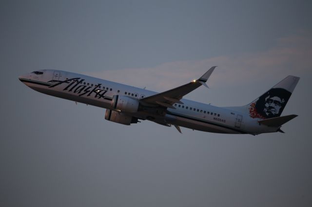 Boeing 737-800 (N535AS)