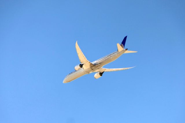 BOEING 787-10 Dreamliner (N16008)