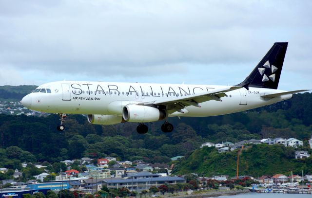 Airbus A320 (ZK-OJH) - Air New Zealand's star alliance painted A320 on final approach for runway 16 at Wellington International Airport.