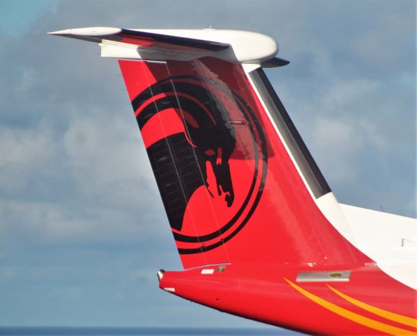 D2-TFD — - Santa Maria Island International Airport - LPAZ, Azores. 2021/09/07.