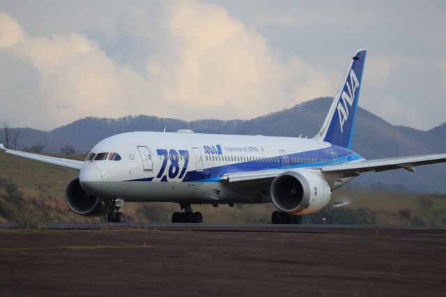 Boeing 787-8 (JA809A) - November 23rd 2017:HKD-HND.