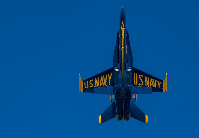 — — - Blue Angels' Solo 5 passes overhead at EAA airshow,07.29.17; Boeing F/A-18 Hornet