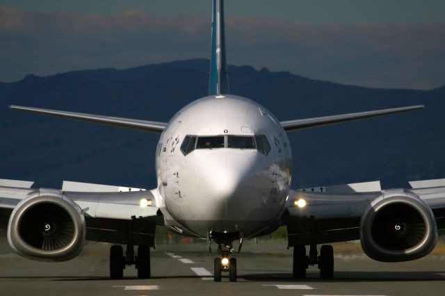 BOEING 737-300 (ZK-NGO)