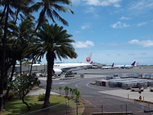 — — - Awaiting the departure of Hawaiian Airlines flight 50 for JFK. "Hawaii 5 O!" 