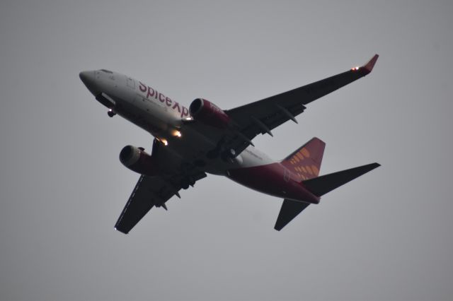 — — - A SpiceXpress (SpiceJet's Cargo Subsidiary) 737-400BDSF on its final approach path to VECC airport's RWY 01R.