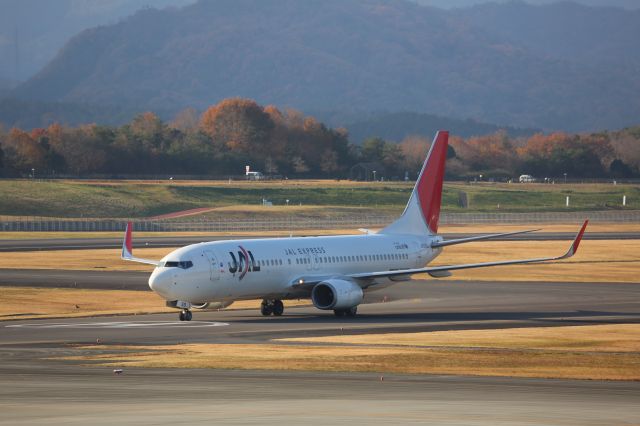 Boeing 737-800 (JA319J)