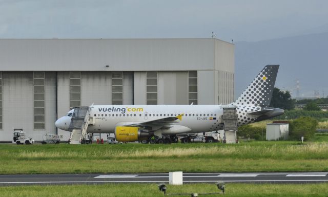 Airbus A319 (EC-JVE) - Vueling Airbus A319-112 EC-JVE in Firenze