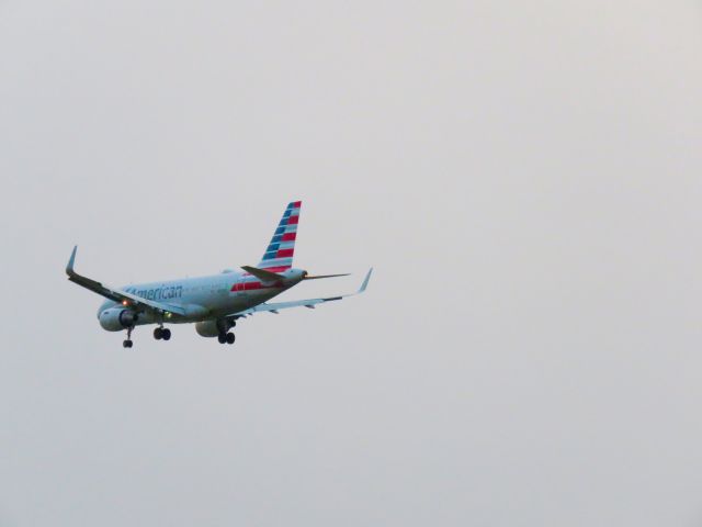 Airbus A319 (N9008U)