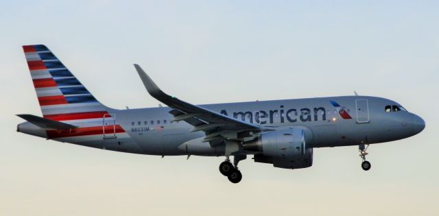 Airbus A319 (N8031M)