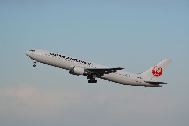 Boeing 737-800 (JA656J)