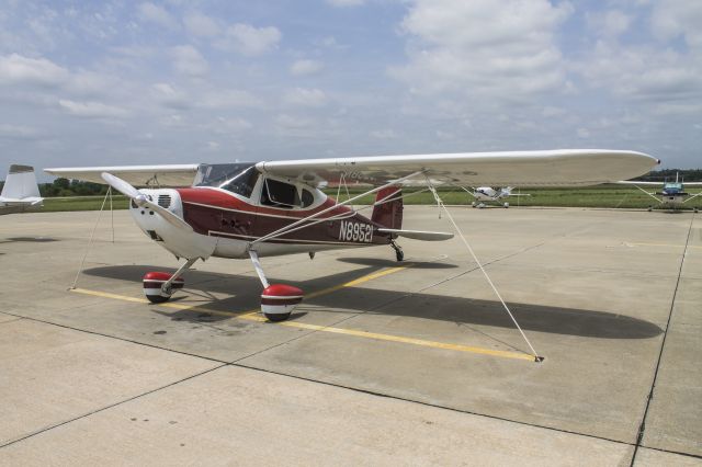 Cessna 140 (N89521) - Tied down at K81 for BBQ in May 2014