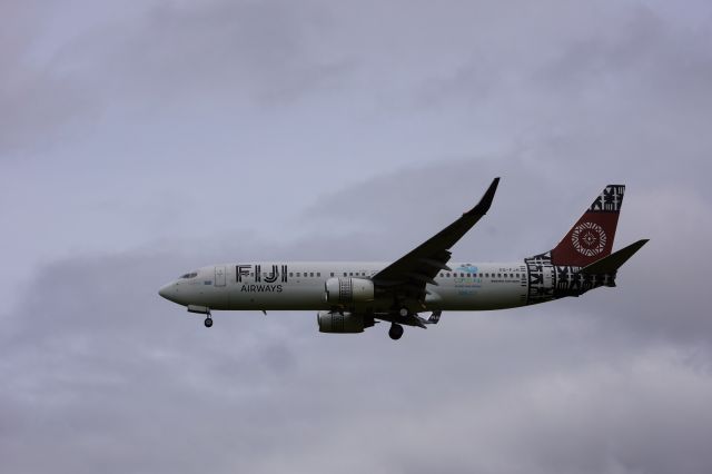 Boeing 737-800 (DQ-FJH)