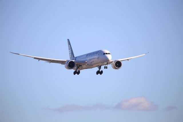 Boeing 787-9 Dreamliner (ZK-NZK)