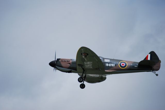 SUPERMARINE Spitfire (19-8783) - Spitefire replica at the recent Clifton, Qld, Aust, fly-in