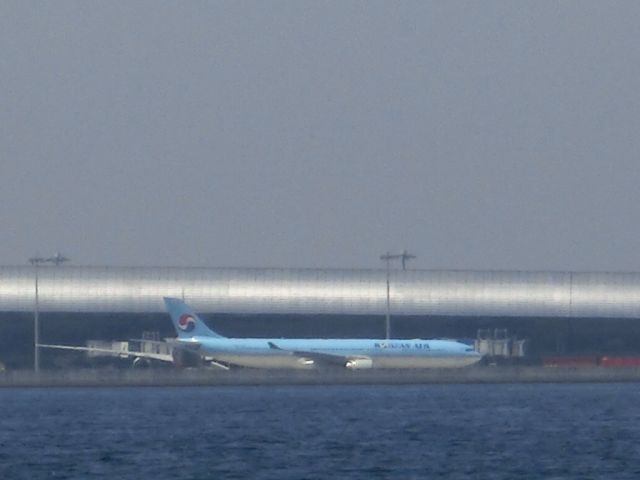 Airbus A330-300 — - 対岸から。