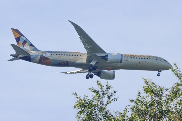 Boeing 787-9 Dreamliner (A6-BNG)
