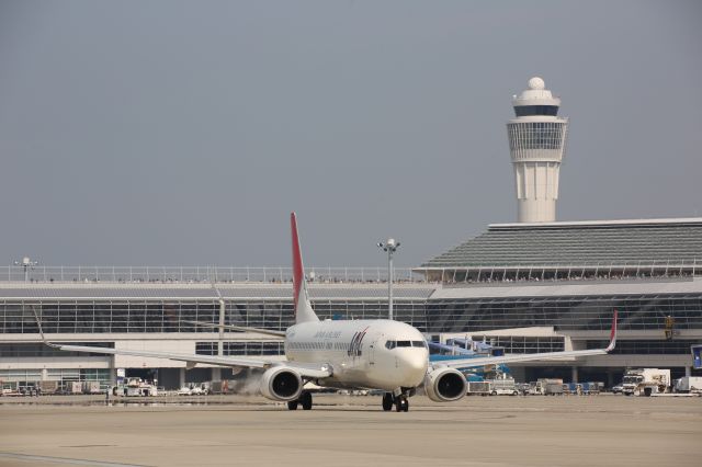 Boeing 737-800 (JA305J)