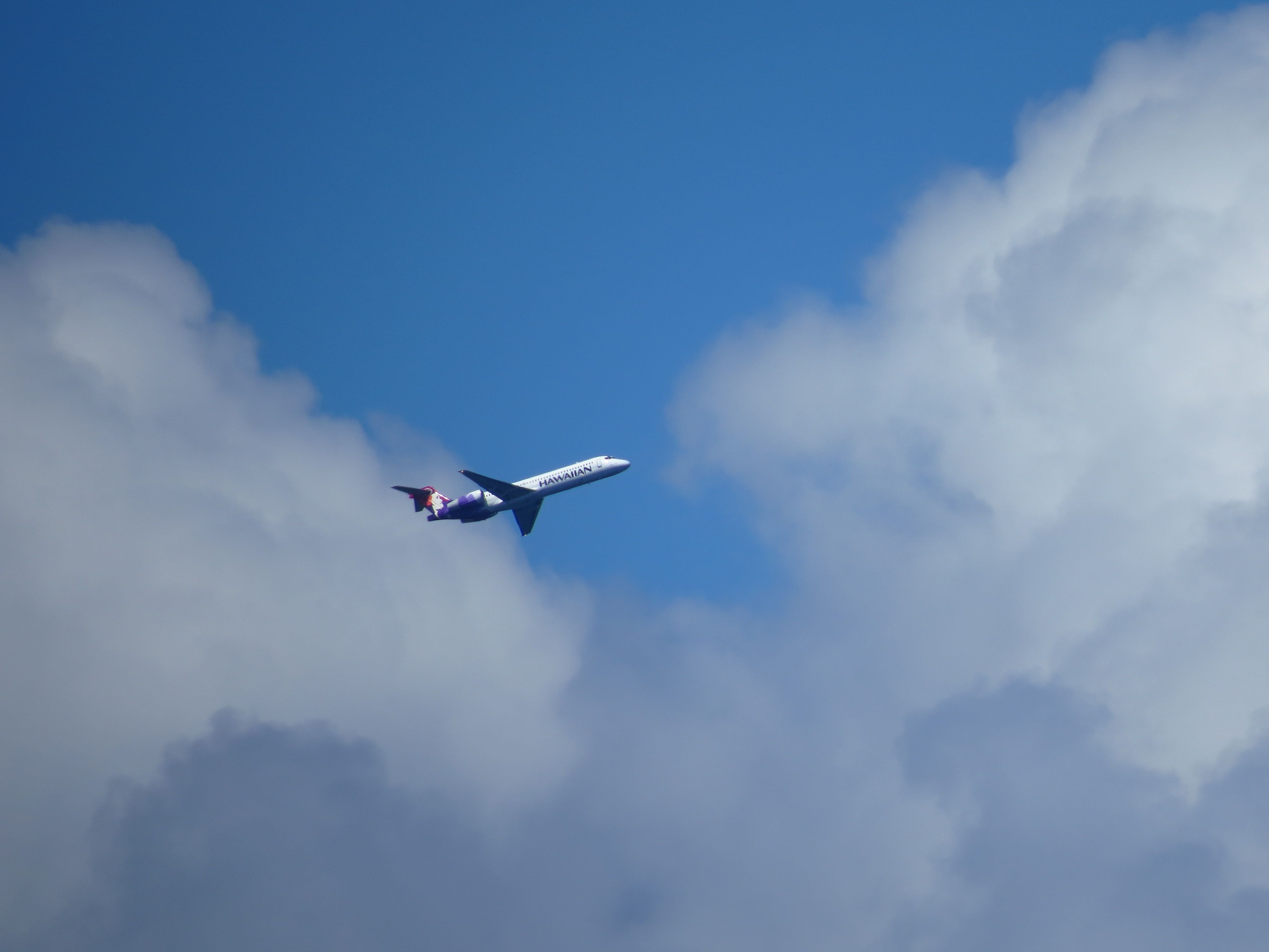 — — - Hawaiian Airlines departing Maui