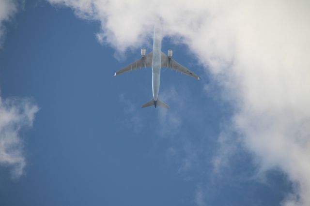 Airbus A330-300 (VT-JWS) - Taken from Sunnybrook Park