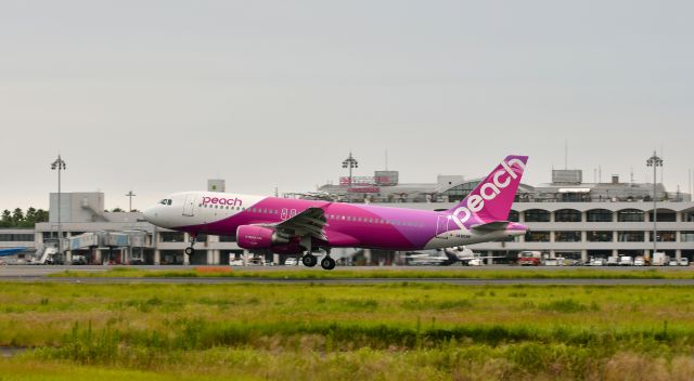 Airbus A320 (JA808P)