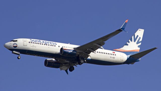 Boeing 737-800 (TC-SOY)