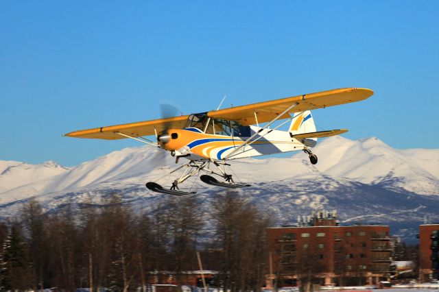 Piper L-21 Super Cub (N1129A)