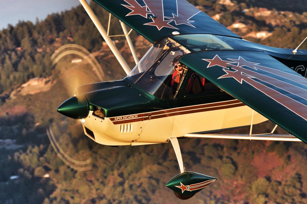 CHAMPION Decathlon (N66405)