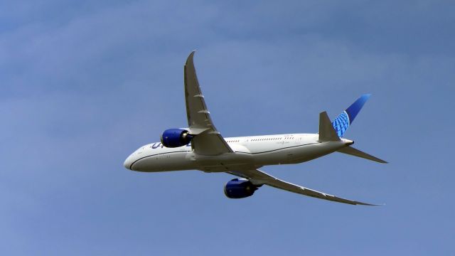 Boeing 787-9 Dreamliner (N19986)