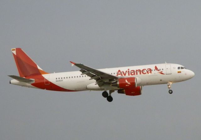 Airbus A320 (N446AV)