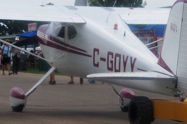 Cessna 140 (C-GOYY)