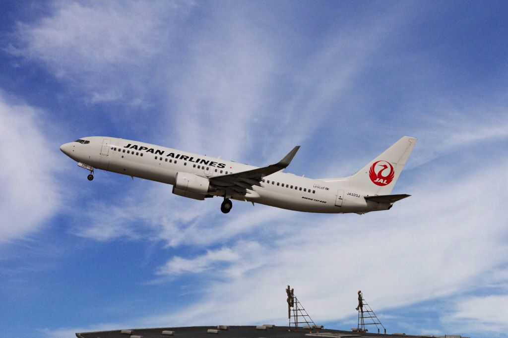Boeing 737-800 (JA320J)