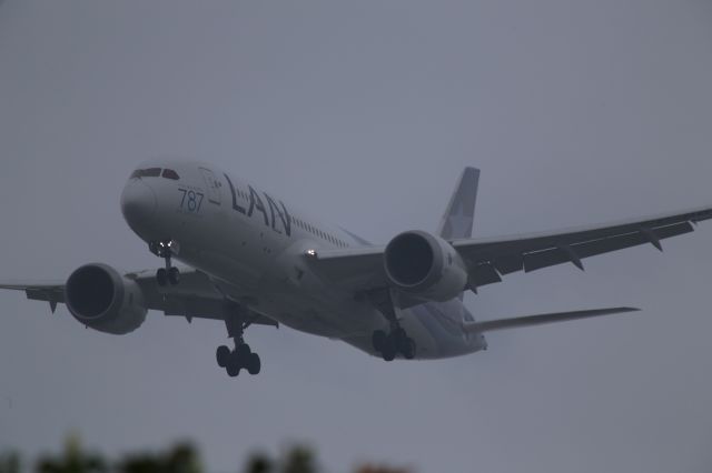 Boeing 787-8 (CC-BBA)