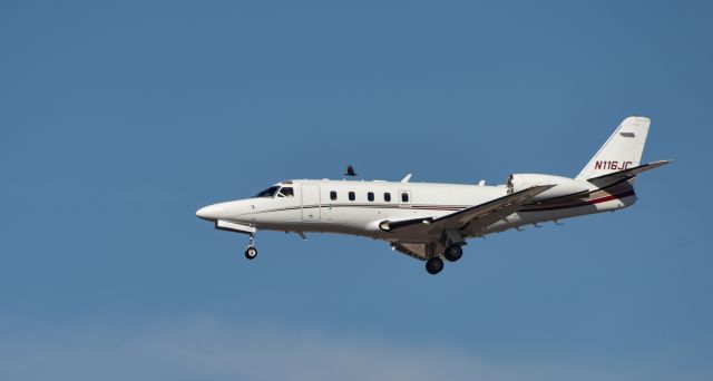 IAI Gulfstream G100 (N116JC) - Gulfstream G100 arriving at KPHX with bird in background