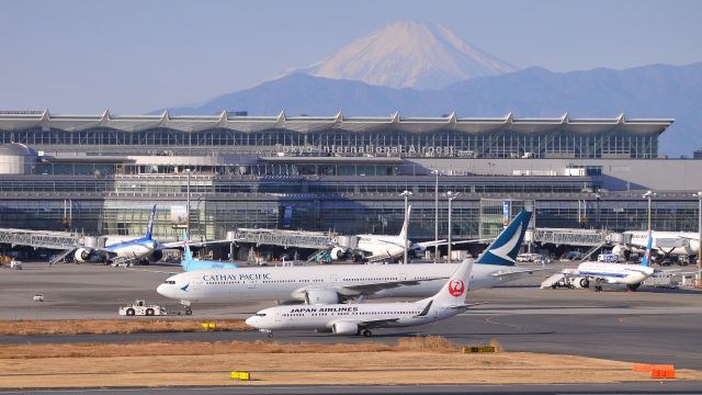 Boeing 737-800 (JA312J)