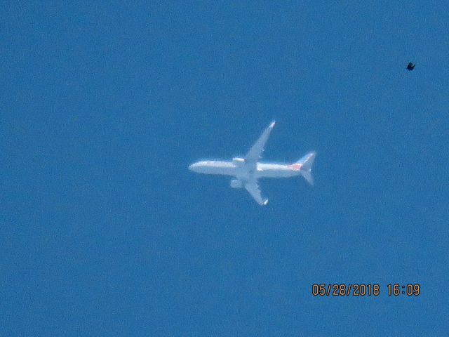 Boeing 737-800 (N306NY)