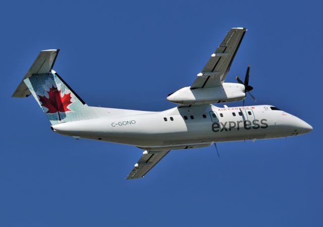 de Havilland Dash 8-100 (C-GONO)