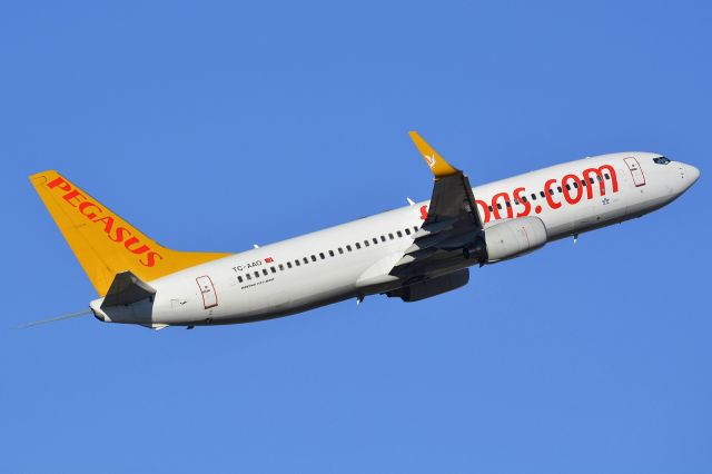 Boeing 737-800 (TC-AAO)