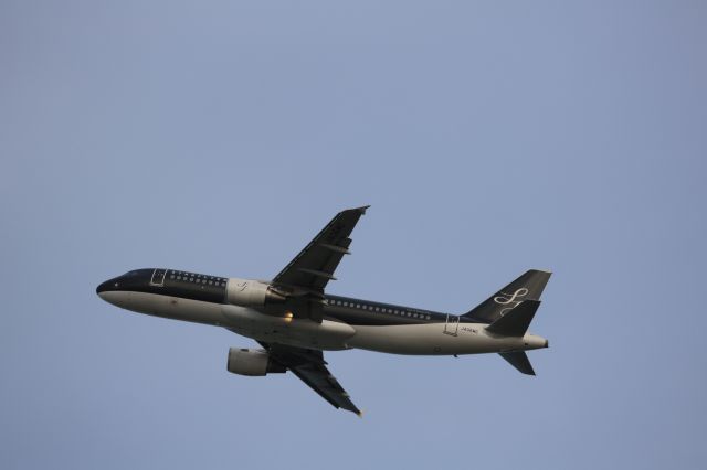 Airbus A320 (JA06MC)