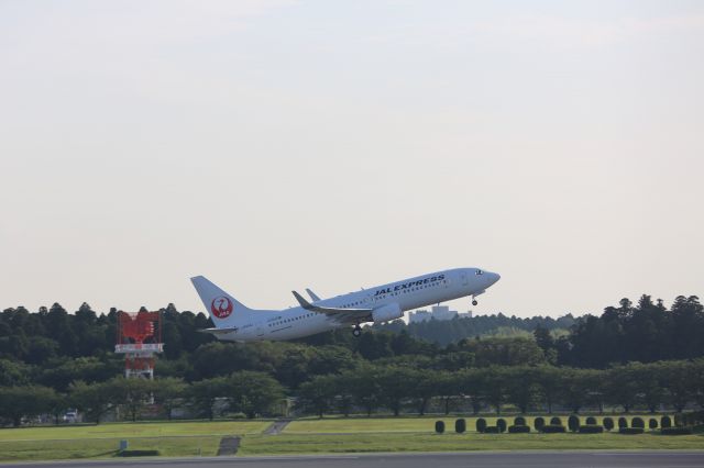 Boeing 737-800 (JA335J)